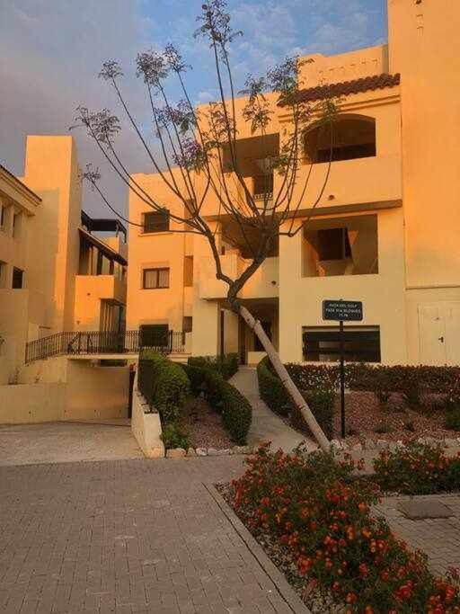 Casa Palmera San Javier Exterior foto